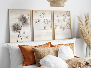 Brown Dandelions Rustic Farmhouse Decor Wall Art - HOME521