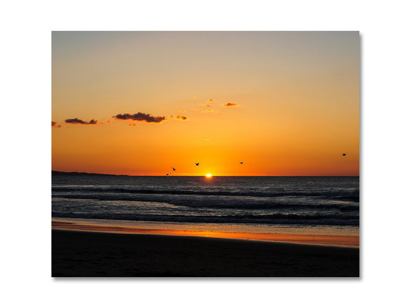 Seascape Photography - Golden Beach Sunset Fine Art - NATURE8