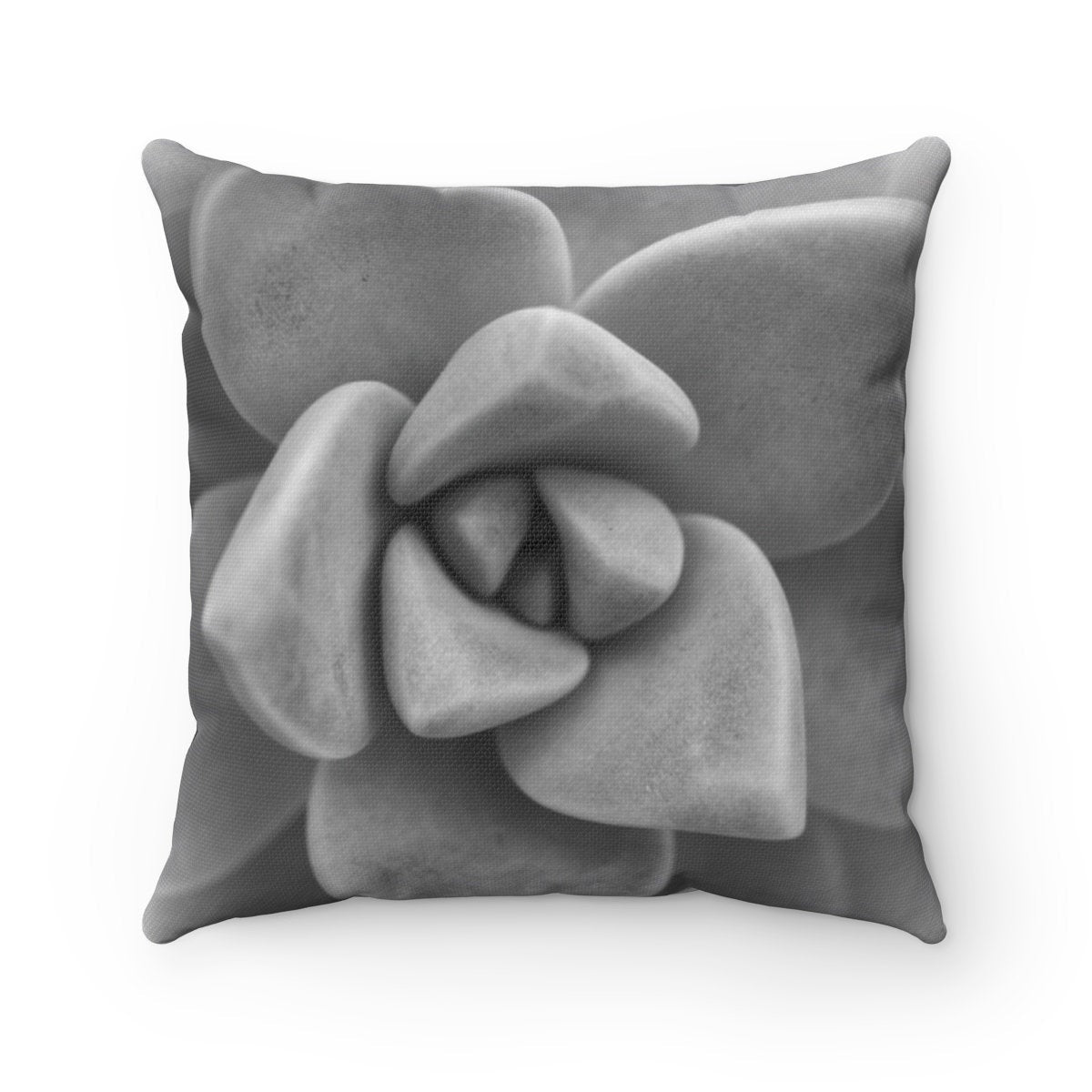 Black and White Cushion Covers, Flower Photograph Pillow, Botanical Pillow Covers, Succulent Pillow, Floral Accent Pillow - EONS-PLW10