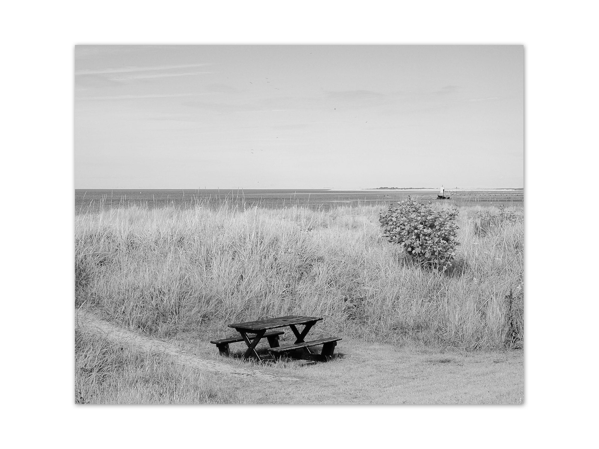 Scotland Travel Photography - Black & White Nairn Beach Fine Art - NATURE42