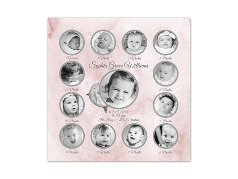 Baby Girl Dolphin Nursery, Baby's 1st Year Photo Collage, 1st Birthday Gift, Baby Keepsake, Baby Birth Stats Nursery CANVAS or PRINT - FR22