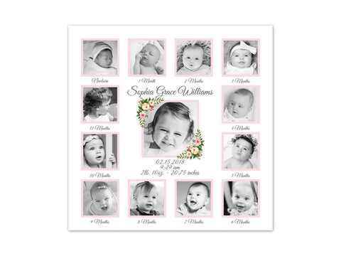 Pink Floral Nursery Decor, Birth Stats Art, My 1st Year Pictures, 1st Birthday Gift, Baby Keepsake, Nursery CANVAS, Girl's Room Art - FR23