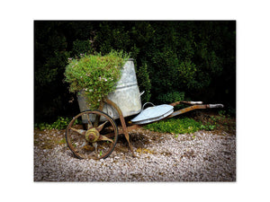 Botanical Photography - Rustic Garden Planter Wall Art  - FLOWER16